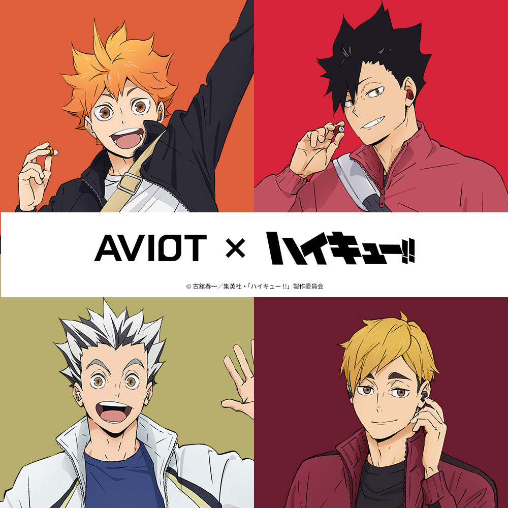 AVIOT TE-Q3-HK Haikyu!! Collaboration Wireless Earbuds – AVIOT