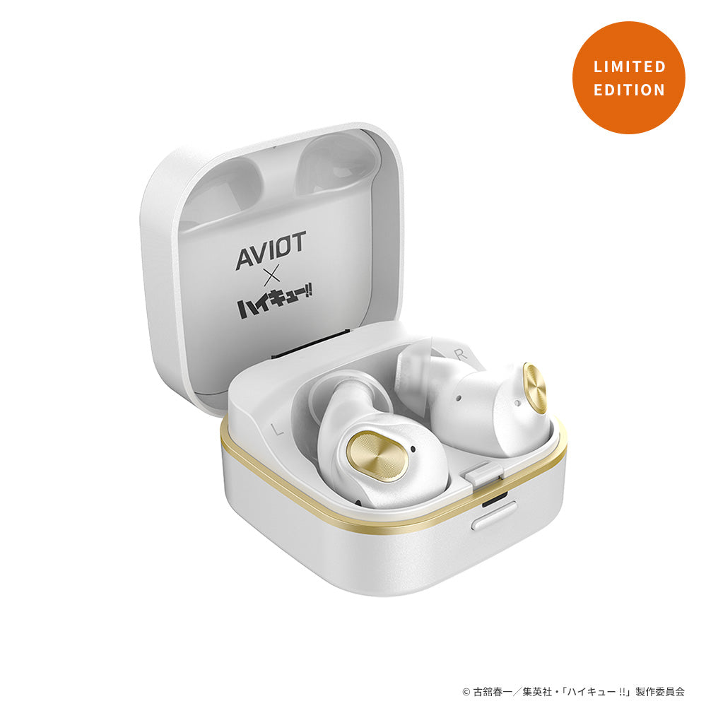 【Pre-order】AVIOT TE-Q3-HK Haikyu!! Collaboration Wireless Earbuds | Shipping in early-December